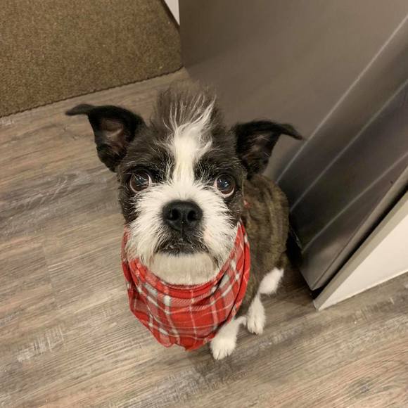 Meet your Posher, Andrea - Picture 1 of 1